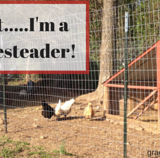 Wait.....I'm a Homesteader!